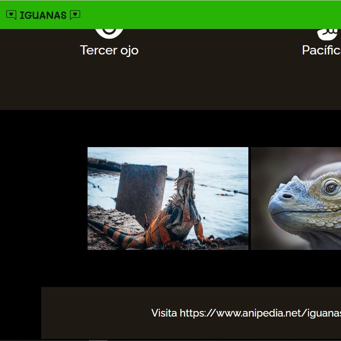 Iguana